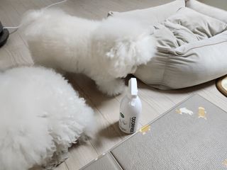 마용님이 올린 리뷰 사진 2