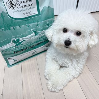 캐닌캐비어 알카라인 홀리스틱 그레이프리 앙뜨레 ALS_4종 오픈스카이, 와일드오션, 프리스피릿, 스페셜니즈 — 5점을 준 리뷰어가 2023년 2월 올린 사용 사진