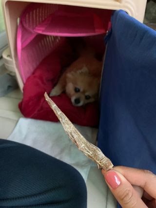 beautycatcher님이 올린 리뷰 사진 3