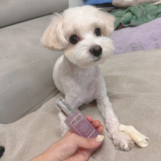 미쨔아님이 올린 리뷰 사진 2