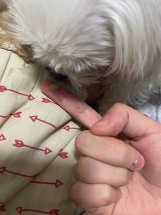 대바기님이 올린 리뷰 사진 1