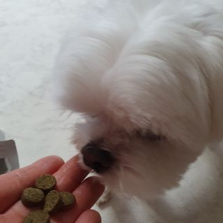 hosu.1230님이 올린 리뷰 사진 1