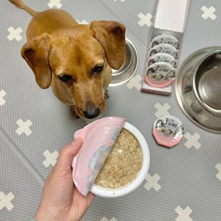 두치뿌꾸빵빵님이 올린 리뷰 사진 2