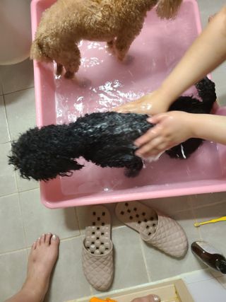 잠주부옥님이 올린 리뷰 사진 2