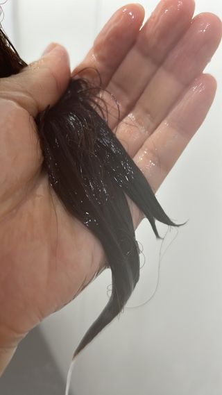바노피파이님이 올린 리뷰 사진 3
