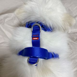 오랑이님이 올린 리뷰 사진 4