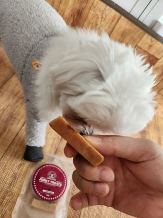 [졸리졸리] 애견 치즈스틱 (HORSE MILK CHEESE) — 1점을 준 리뷰어가 2023년 1월 올린 사용 사진
