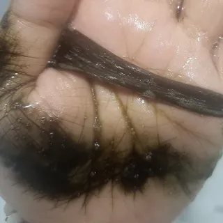베이키님이 올린 리뷰 사진 4