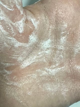 오정현님이 올린 리뷰 사진 2