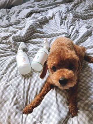 혼뚜님이 올린 리뷰 사진 2