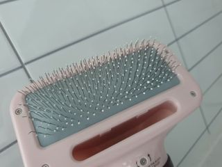 아베크 펫 강아지 고양이 애견 에어 브러쉬 드라이기 올인원 — 5점을 준 리뷰어가 2021년 7월 올린 사용 사진