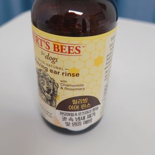 차차님이 올린 리뷰 사진 2