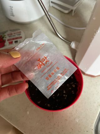엘라맘님이 올린 리뷰 사진 4