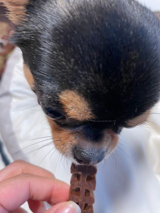 정열매님이 올린 리뷰 사진 3