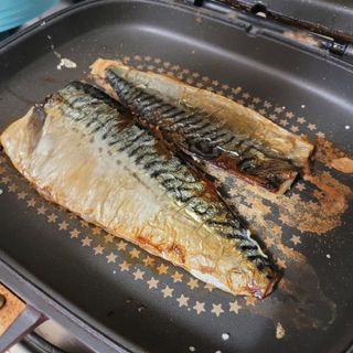㈜금호통상 노르웨이 고등어 900g (6~10편) — 5점을 준 리뷰어가 2023년 6월 올린 사용 사진