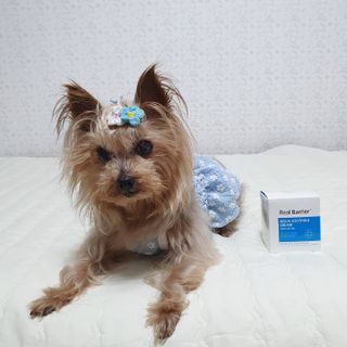 솜희님이 올린 리뷰 사진 3