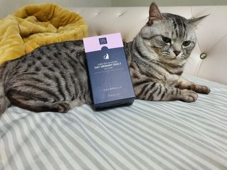 코코몰리 고양이 구강• 헤어볼 데일리 /신장• 요로 데일리 — 4점을 준 리뷰어가 2021년 3월 올린 사용 사진