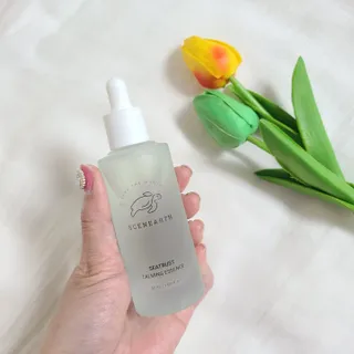 백설공주님이 올린 리뷰 사진 3