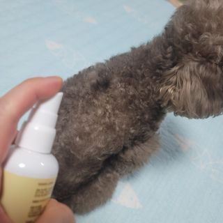 나초단맘님이 올린 리뷰 사진 2