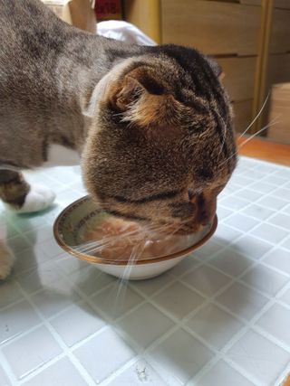 장간님이 올린 리뷰 사진 3