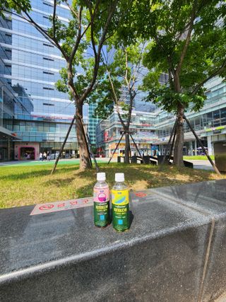 더그레잇티 콤부차 [매일유업] 더그레잇티 44kcal 콤부차 300ml *12개입 (오리지널 6개+베리리치 6개) — 5점을 준 리뷰어가 2023년 7월 올린 사용 사진