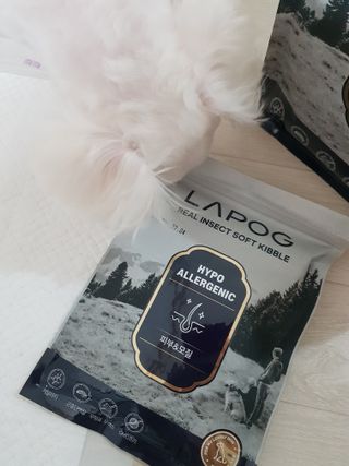 [푸디웜] 라포그 리얼인섹트 소프트키블 스킨 1KG — 5점을 준 리뷰어가 2022년 9월 올린 사용 사진