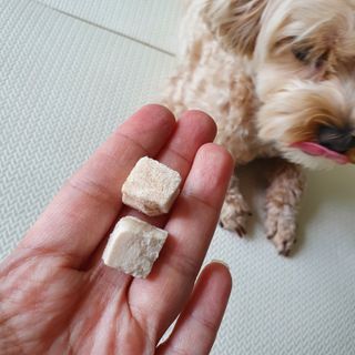아코맘님이 올린 리뷰 사진 2