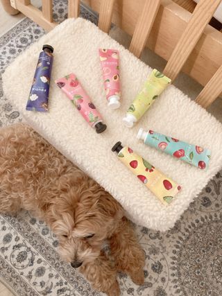 designerjoo님이 올린 리뷰 사진 4