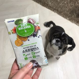 씨디랩 속이 편한 강아지 사료 소프트발란스 기호성 좋은 발효사료 피부와 위장 관절과 위장 — 5점을 준 리뷰어가 2021년 3월 올린 사용 사진