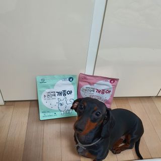 My Pet Care 천연단백질 관절건강에 개좋아 — 5점을 준 리뷰어가 2021년 2월 올린 사용 사진