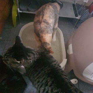 김안나님이 올린 리뷰 사진 1