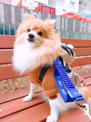 설탕님이 올린 리뷰 사진 2
