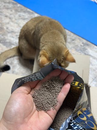 고고고님이 올린 리뷰 사진 4