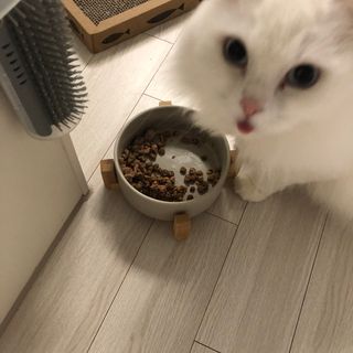 하루님이 올린 리뷰 사진 3