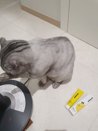 에디터보나님이 올린 리뷰 사진 2