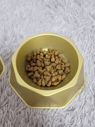 영국 바이탈린 강아지 애견사료 2kg — 3점을 준 리뷰어가 2021년 6월 올린 사용 사진