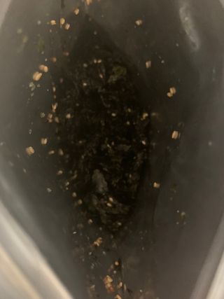 광천우리맛김 우리집밥도둑 맛있는광천김 우리김자반 50g 5봉 — 5점을 준 리뷰어가 2021년 10월 올린 사용 사진