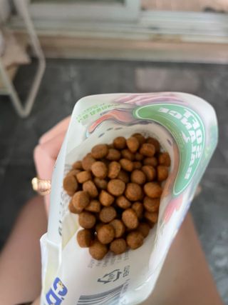 씨디랩 속이 편한 강아지 사료 소프트발란스 기호성 좋은 발효사료 피부와 위장 관절과 위장 — 5점을 준 리뷰어가 2021년 3월 올린 사용 사진