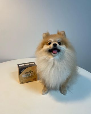 잰이님이 올린 리뷰 사진 1