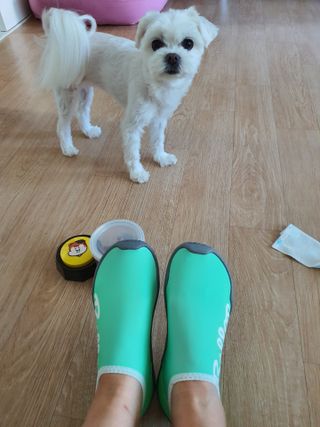 뽀오오옹님이 올린 리뷰 사진 1