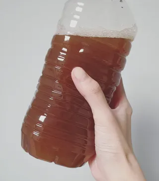 소영님이 올린 리뷰 사진 3