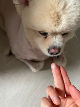 아임유얼워니님이 올린 리뷰 사진 3