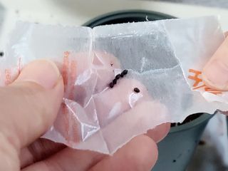 H늘처음처럼H님이 올린 리뷰 사진 4
