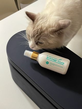 달님이 올린 리뷰 사진 2
