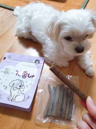 My Pet Care 천연단백질 치아건강에 개좋아 — 5점을 준 리뷰어가 2021년 1월 올린 사용 사진