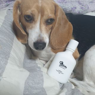 beaglelove님이 올린 리뷰 사진 1