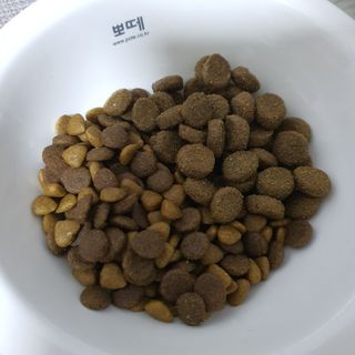 이쁘콩님이 올린 리뷰 사진 4
