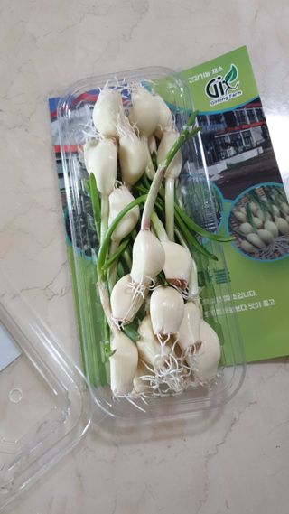 에스더킴님이 올린 리뷰 사진 2