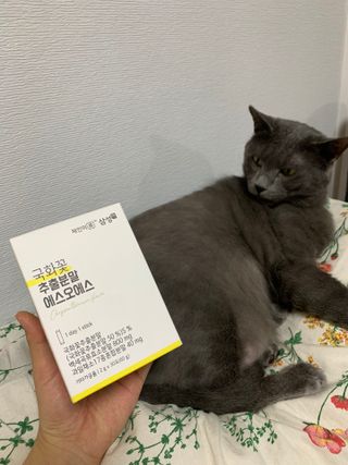 체인미 국화꽃 추출분말 에스오에스 곡류효소 과일채소 17종 혼합 분말 스틱 — 4점을 준 리뷰어가 2022년 1월 올린 사용 사진