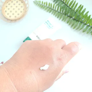 바람꽃님이 올린 리뷰 사진 2